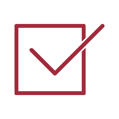 Red Checkbox Icon